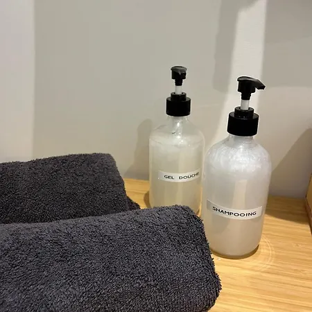 Le Cocon Des Sacres 아파트 랭스