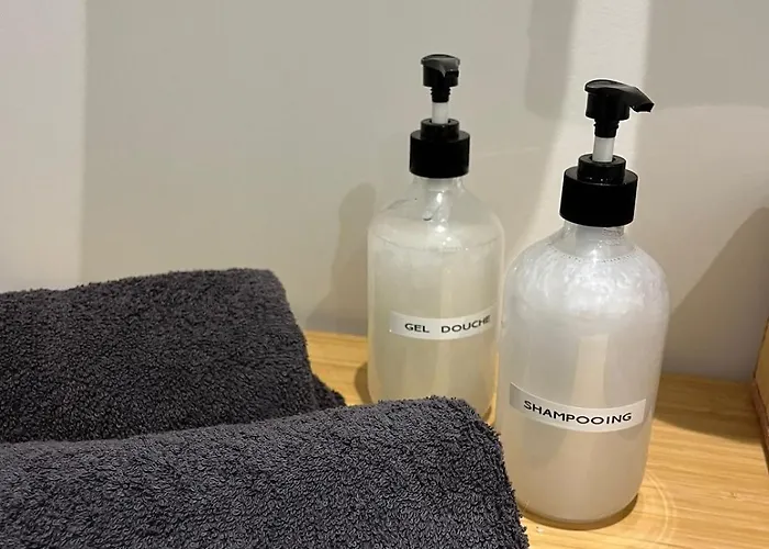 Le Cocon Des Sacres 아파트 랭스